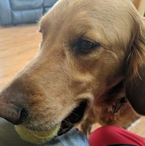 Meet your Posher, Jack